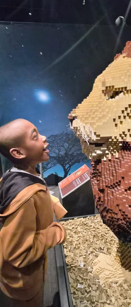 A child admires a detailed LEGO lion display at the ablefamilies exhibit.