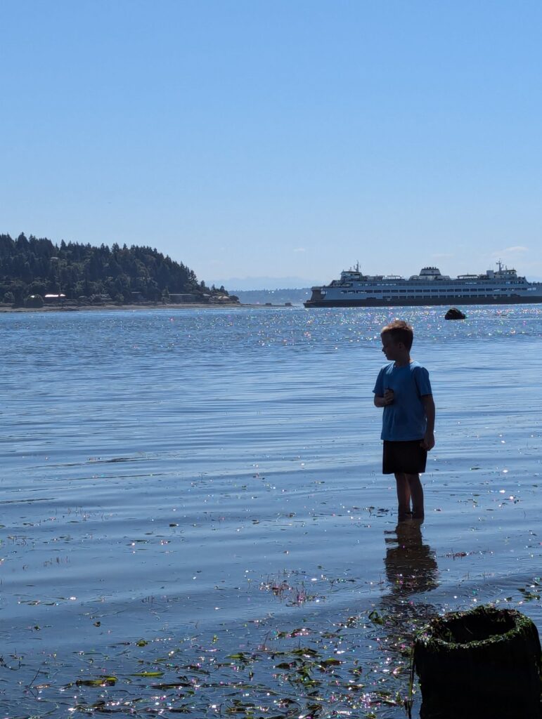 Logan wades into calm water at the beach on a clear day.