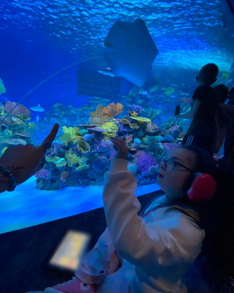 A child enjoys an immersive aquarium experience with colorful marine life and coral.